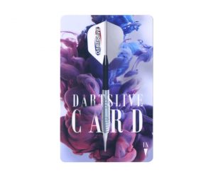 DARTS GAME CARD【DARTSLIVE】NO.1772