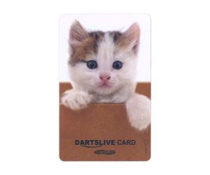 DARTS GAME CARD【DARTSLIVE】NO.1778