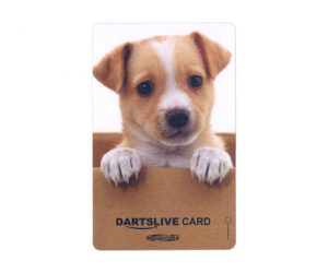 DARTS GAME CARD【DARTSLIVE】NO.1779
