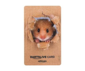 DARTS GAME CARD【DARTSLIVE】NO.1780