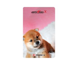 DARTS CARD【PHOENIX】NO.2072