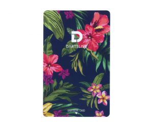 DARTS GAME CARD【DARTSLIVE】NO.1823