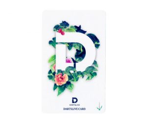 DARTS GAME CARD【DARTSLIVE】NO.1843