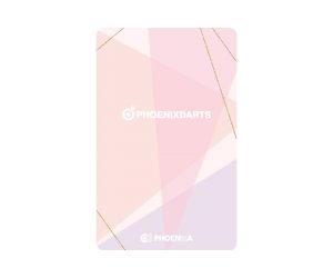 DARTS CARD【PHOENIX】NO.2118