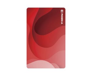 DARTS CARD【PHOENIX】NO.2120