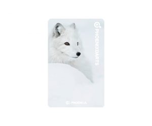 DARTS CARD【PHOENIX】NO.2133