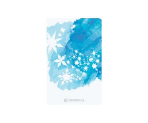 DARTS CARD【PHOENIX】NO.2134