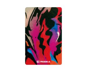 DARTS CARD【PHOENIX】NO.2145