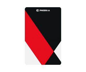 DARTS CARD【PHOENIX】NO.2148