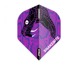 DARTS FLIGHT【Red Dragon】Snakebite Peter Wright Model Hardcore Ionic Purple Head TF6570