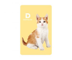 DARTS GAME CARD【DARTSLIVE】NO.1988