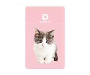 DARTS GAME CARD【DARTSLIVE】NO.2015