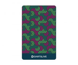 DARTS GAME CARD【DARTSLIVE】NO.2027