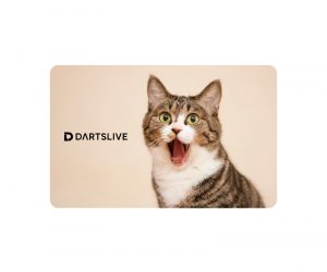 DARTS GAME CARD【DARTSLIVE】NO.2045