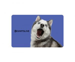 DARTS GAME CARD【DARTSLIVE】NO.2047