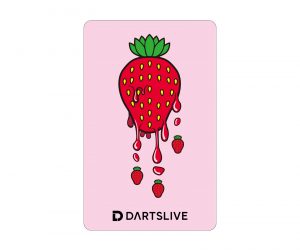 DARTS GAME CARD【DARTSLIVE】NO.2074