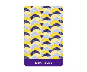 DARTS GAME CARD【DARTSLIVE】NO.2080