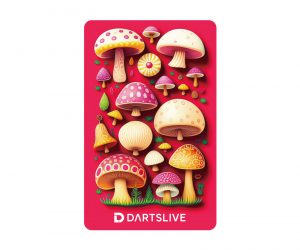 DARTS GAME CARD【DARTSLIVE】NO.2082