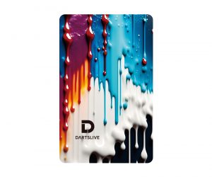 DARTS GAME CARD【DARTSLIVE】NO.2083