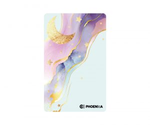 DARTS CARD【PHOENIX】NO.2302