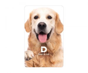 DARTS GAME CARD【DARTSLIVE】NO.2106