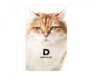 DARTS GAME CARD【DARTSLIVE】NO.2107