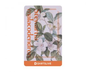 DARTS GAME CARD【DARTSLIVE】NO.2109