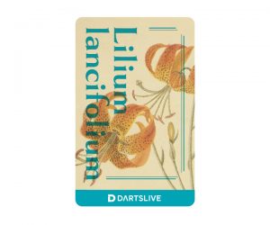 DARTS GAME CARD【DARTSLIVE】NO.2110