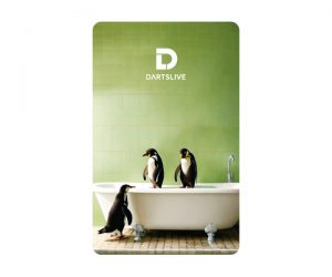 DARTS GAME CARD【DARTSLIVE】NO.2045